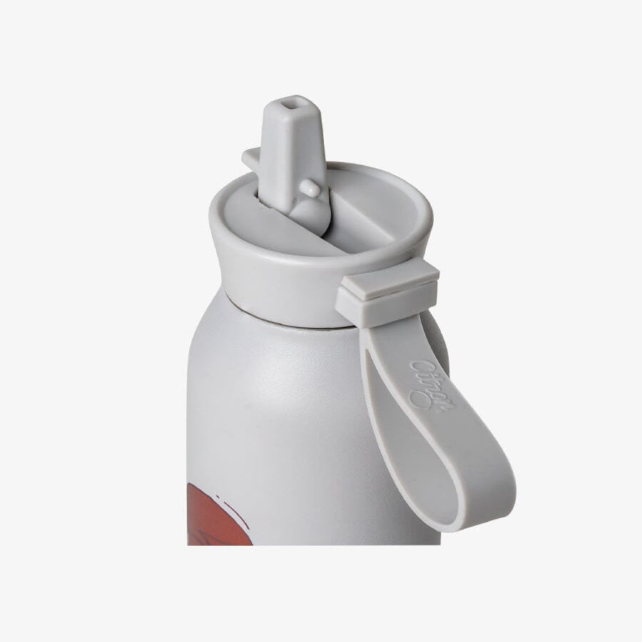 500ml Insulated Water Bottle – Cool Kid