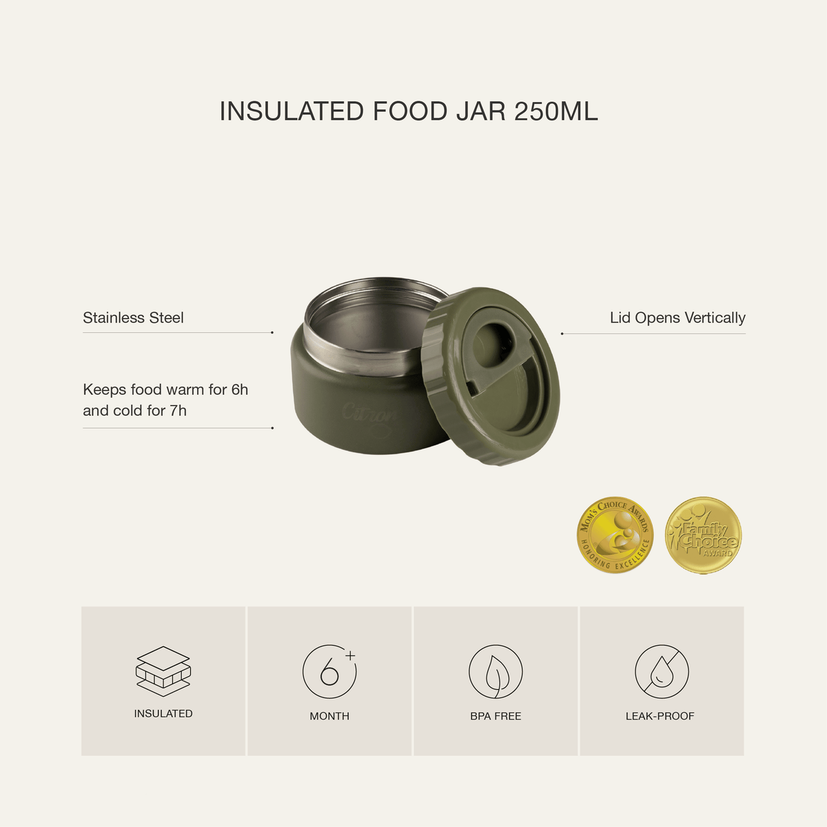 Features and dimensions of the Citron 250ml insulated food jar