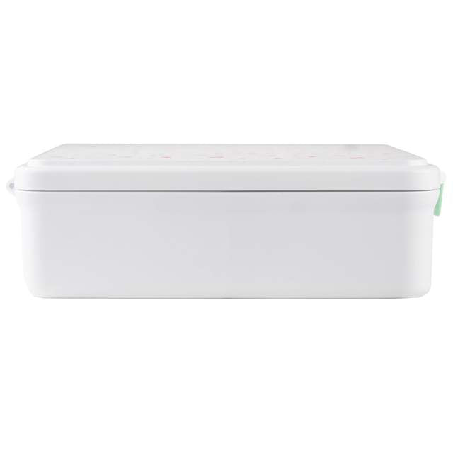 Citron Australia Lunchbox - 4 compartments with Hot Food Jar - Dino