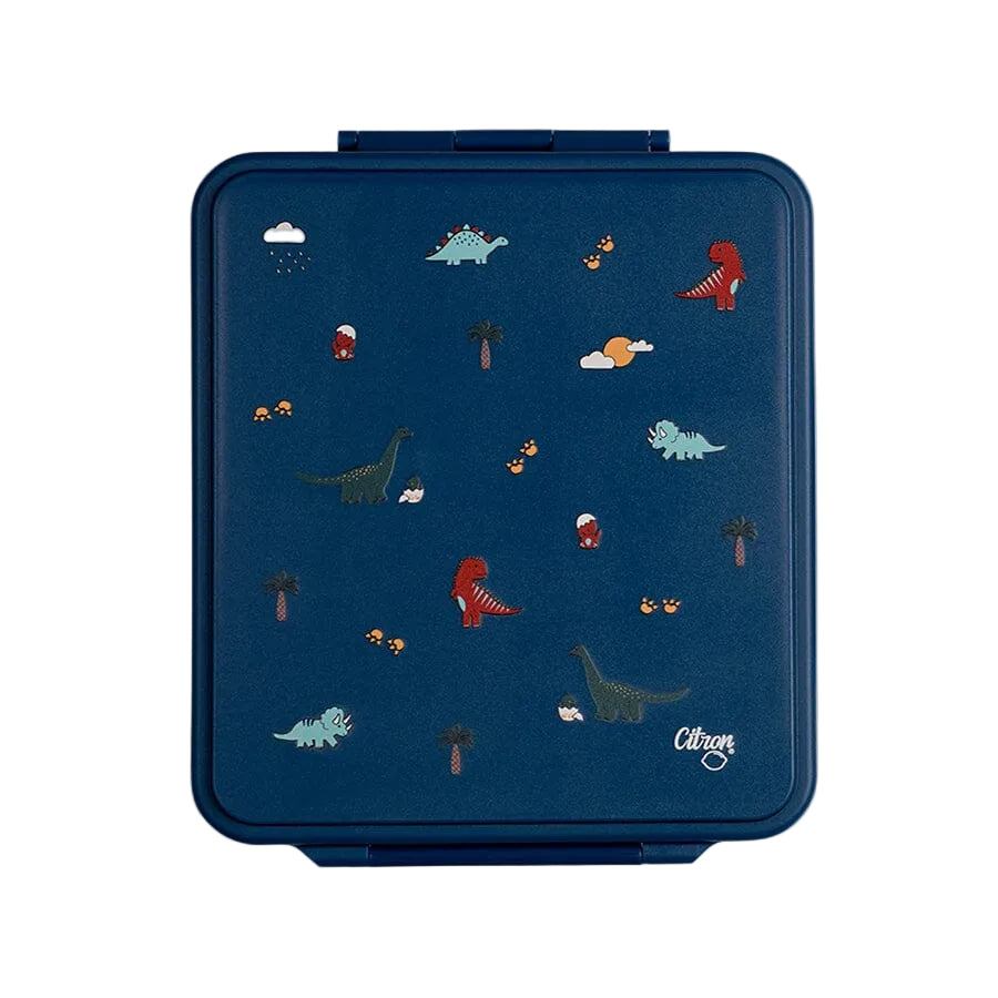 Front view of the Citron Dino four compartment kids lunch box