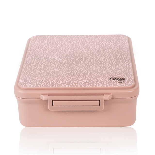 Citron Australia Lunchbox - 4 compartments with Hot Food Jar - Leo