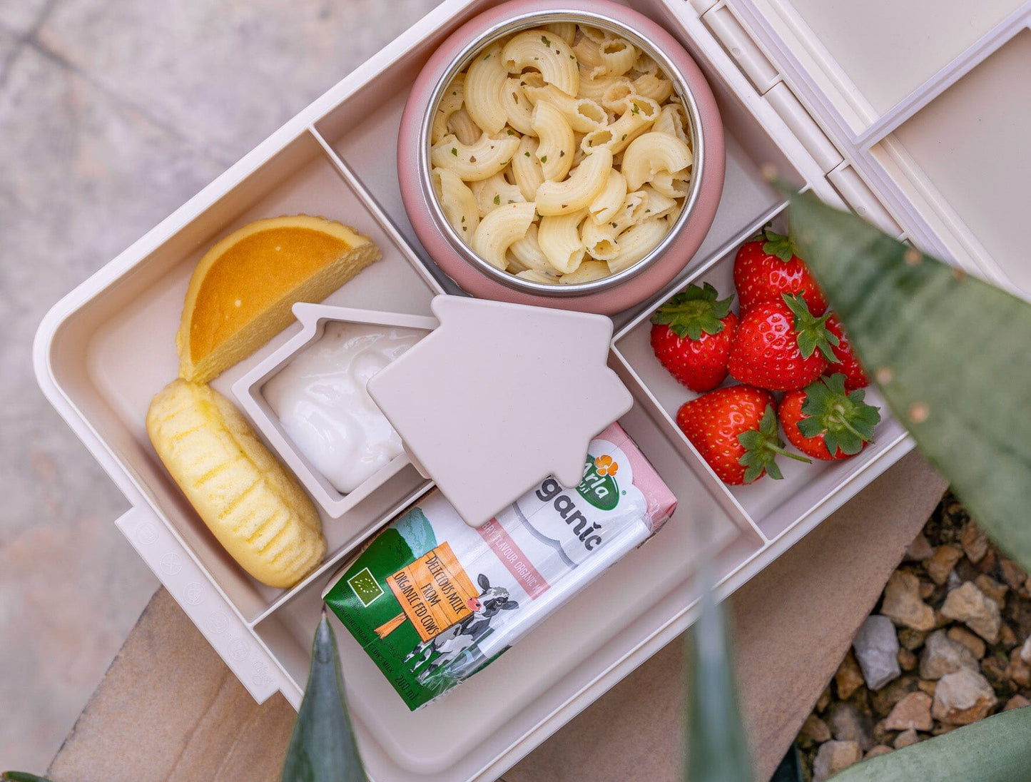 Grand Lunch Box - 4 Compartments - Ballerina + Food Jar