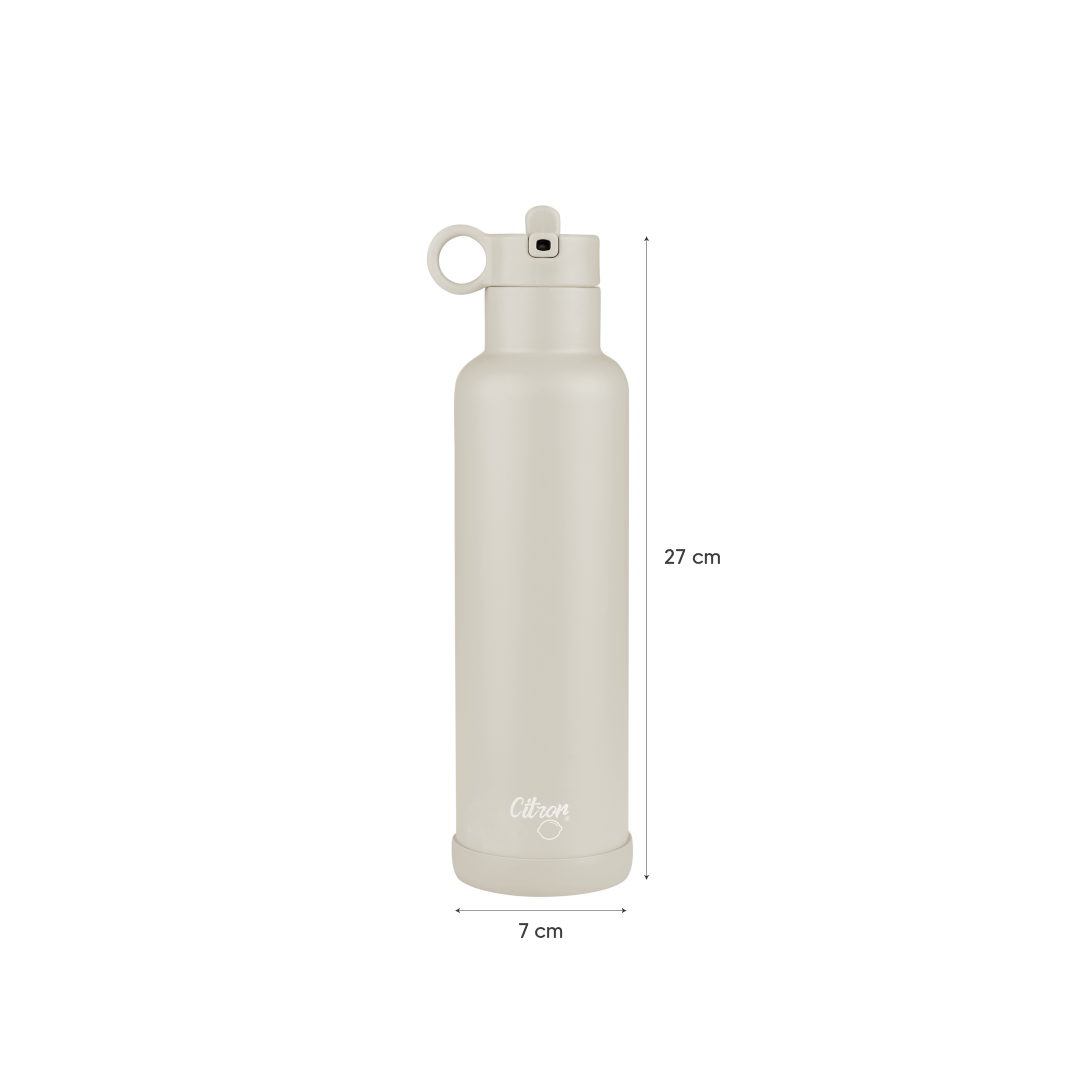 750ml Water Bottle Purple